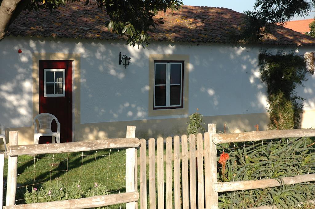 Casa da Tia Guida Bed & Breakfast Golega Bagian luar foto